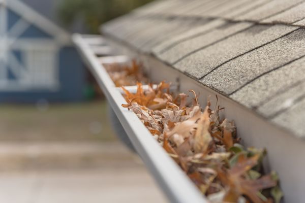 Leaf Barrier Installation in Fort Myers